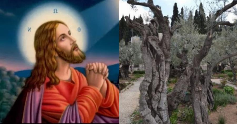 Ιησούς Χριστός: O ιερός τόπος που προσευχήθηκε για τελευταία φορά πριν την μαρτυρική σταύρωση