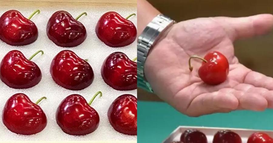 Δεν ξανάγινε: Πουλήθηκαν 15 κεράσια σπάνιας ποικιλίας για 4.100 ευρώ σπάζοντας κάθε ρεκόρ