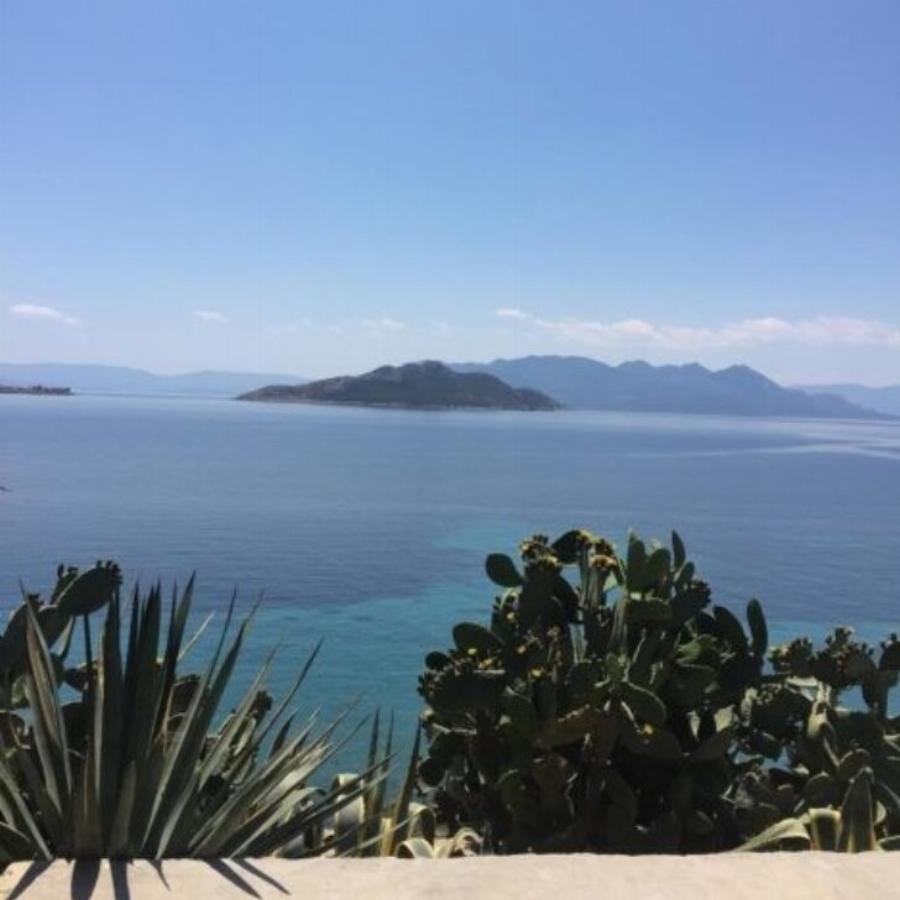 Αίγινα: Το παραδεισένιο εξοχικό σπίτι του Θοδωρή Αθερίδη και της Σμαράγδας Καρύδη δίπλα στην Αθήνα