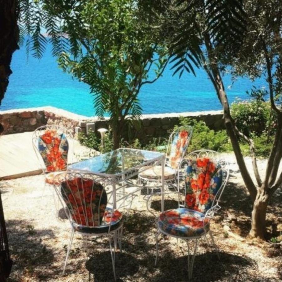 Αίγινα: Το παραδεισένιο εξοχικό σπίτι του Θοδωρή Αθερίδη και της Σμαράγδας Καρύδη δίπλα στην Αθήνα