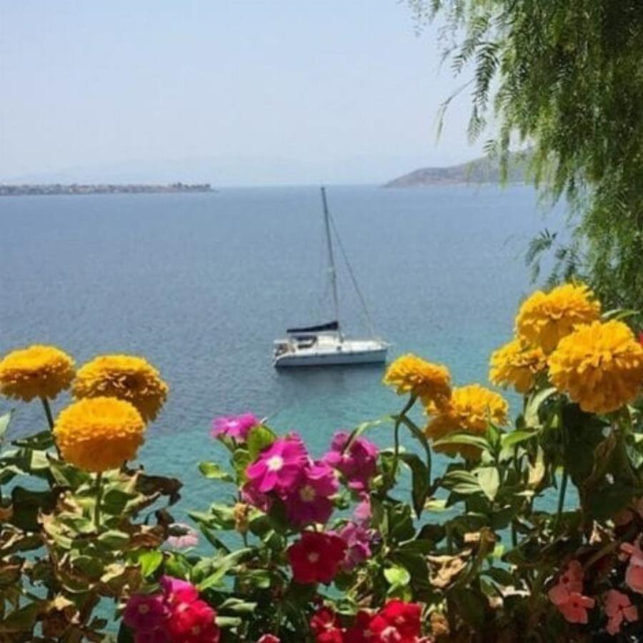 Αίγινα: Το παραδεισένιο εξοχικό σπίτι του Θοδωρή Αθερίδη και της Σμαράγδας Καρύδη δίπλα στην Αθήνα