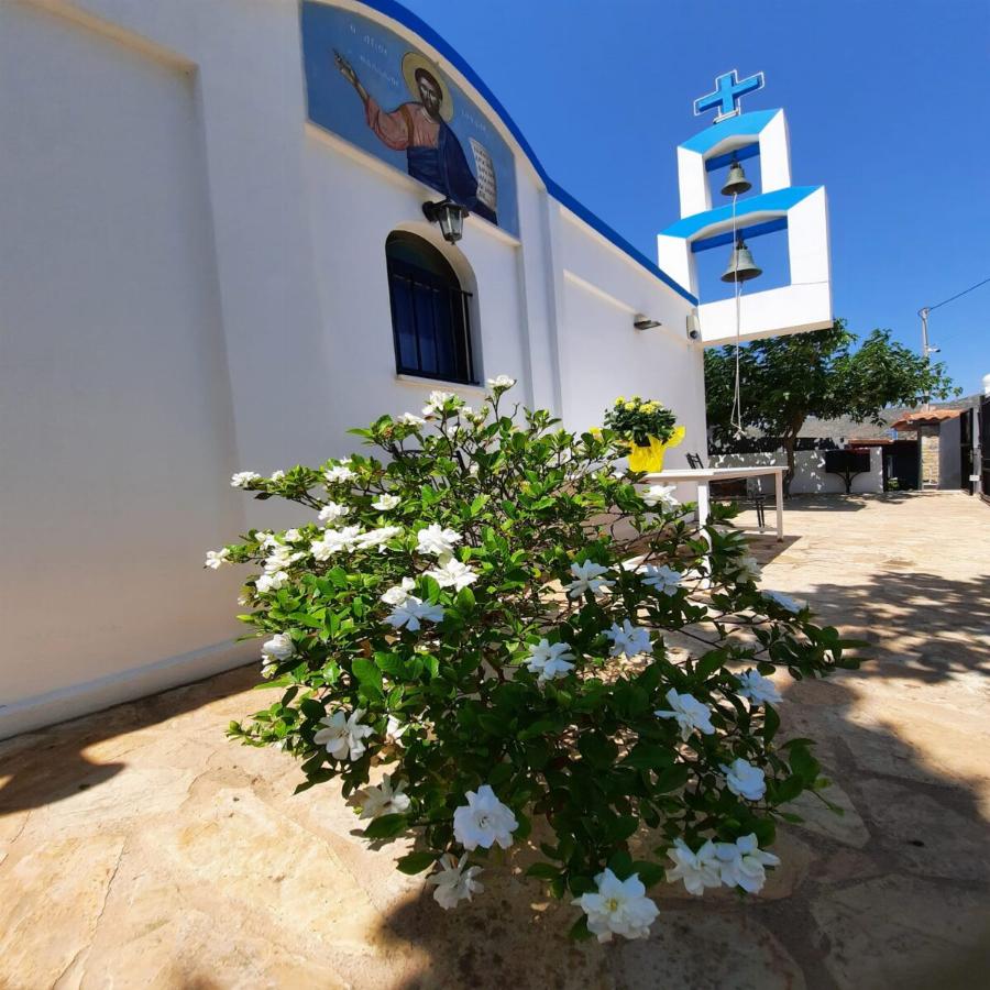 Άγιος Ιούδας Θαδδαίος: Το λουλούδι που ανθίζει στην γιορτή του