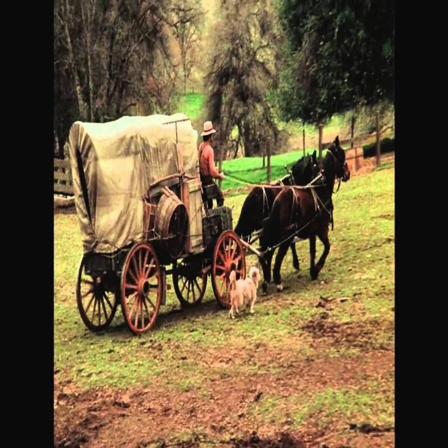 Εννιά αγαπημένες τηλεοπτικές σειρές, που βλέπαμε σαν παιδιά μετά το σχολείο και θα μας μείνουν αξέχαστες