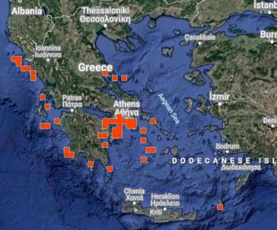 Μετά τις μωβ έρχονται και οι γαλάζιες μέδουσες: Η νέα εκτίμηση των ειδικών