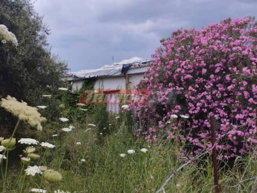 Η νέα αρχή του Θύμιου στη ζωή: Δουλειά και νέα κατοικία του παραχωρεί ο Δήμος Πύργου