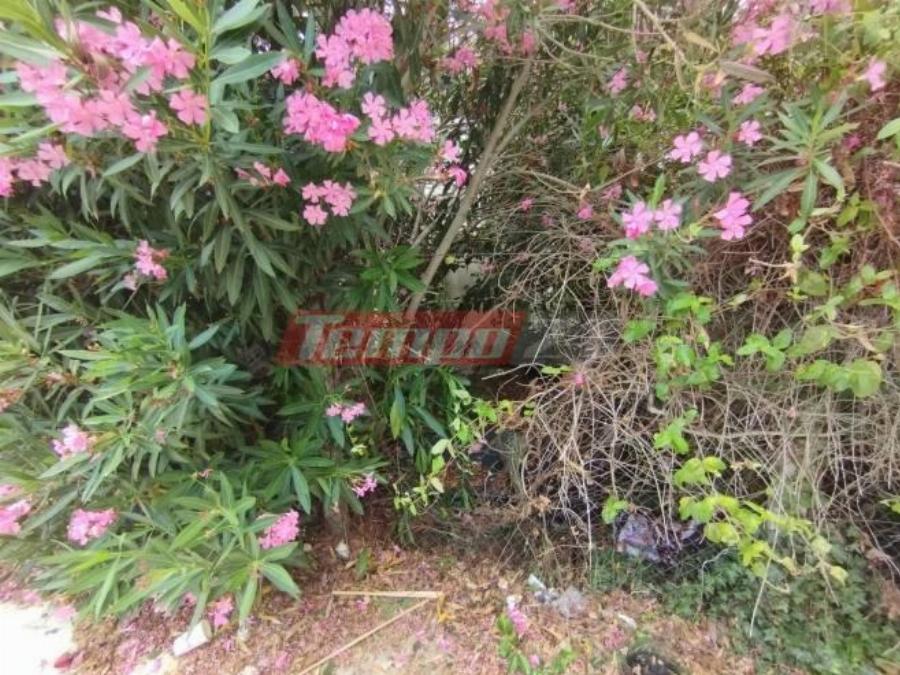 Η νέα αρχή του Θύμιου στη ζωή: Δουλειά και νέα κατοικία του παραχωρεί ο Δήμος Πύργου