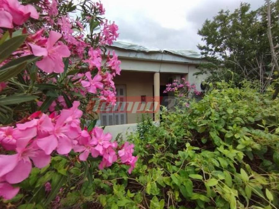 Η νέα αρχή του Θύμιου στη ζωή: Δουλειά και νέα κατοικία του παραχωρεί ο Δήμος Πύργου