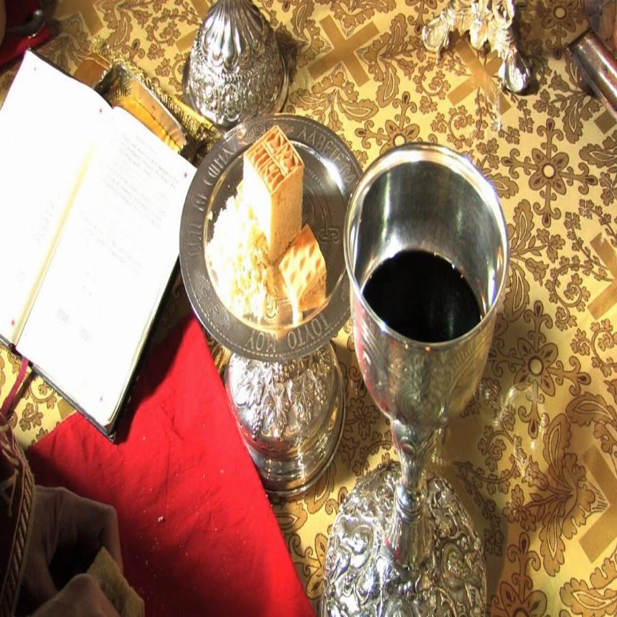 Δείτε τι παθαίνουν όσοι δεν Κοινωνούν συχνά