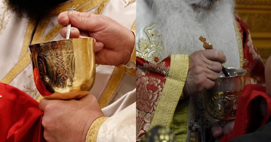 Δείτε τι παθαίνουν όσοι δεν Κοινωνούν συχνά