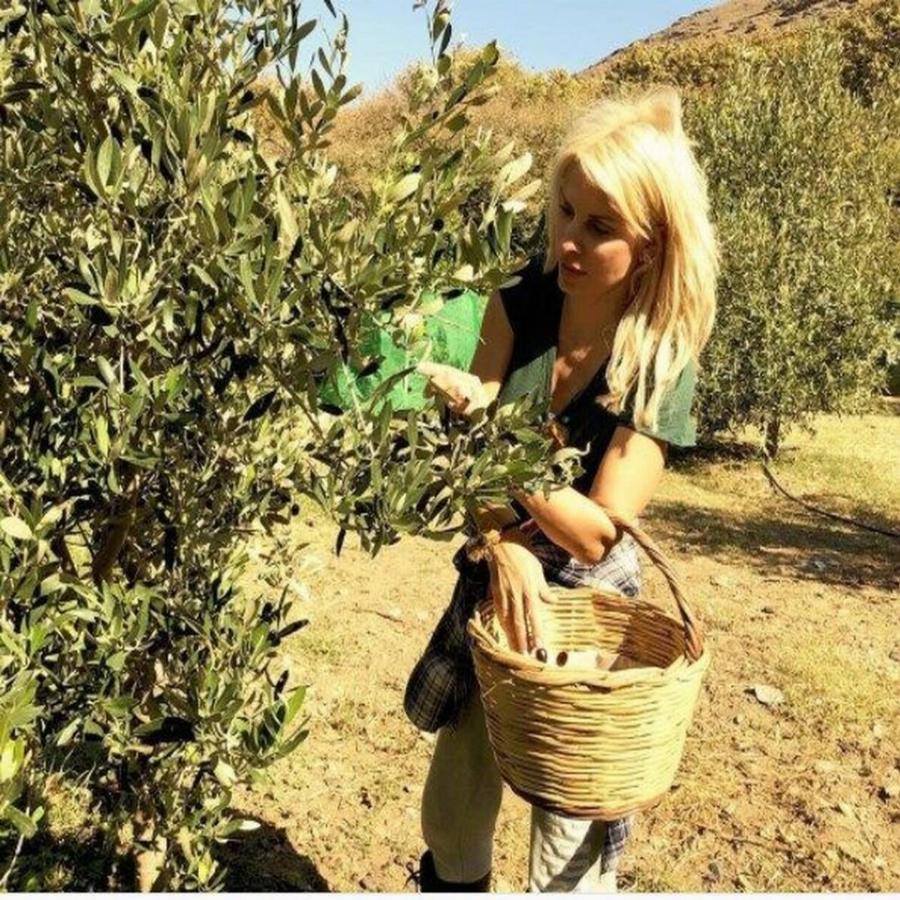 Ελένη Μενεγάκη: Το πέτρινο κάστρο της βασίλισσας της ελληνικής τηλεόρασης – Τζάκι στην κρεβατοκάμαρα και vintage κουζίνα