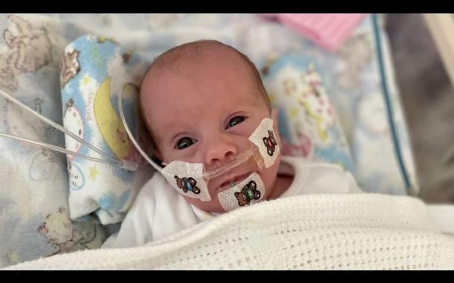 Αληθινή ιστορία: Προωράκι καταδικασμένο να μην ζήσει ούτε ένα λεπτό, γίνεται 1 έτους!