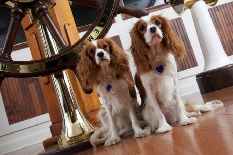 Τιτανικός: Η ιστορία του πραγματικού Τζακ που έπαιξε ο Λεονάρντο ΝτιΚάπριο – Το αγόρι επέζησε από το ναυάγιο αλλά είχε τραγικό τέλος