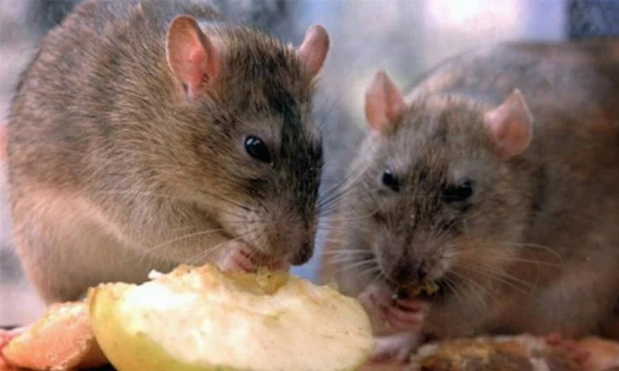 Πάμπλο Εσκομπάρ: 22 πράγματα για τη ζωή του «βαρόνου» των καρτέλ που ελάχιστοι γνωρίζουν