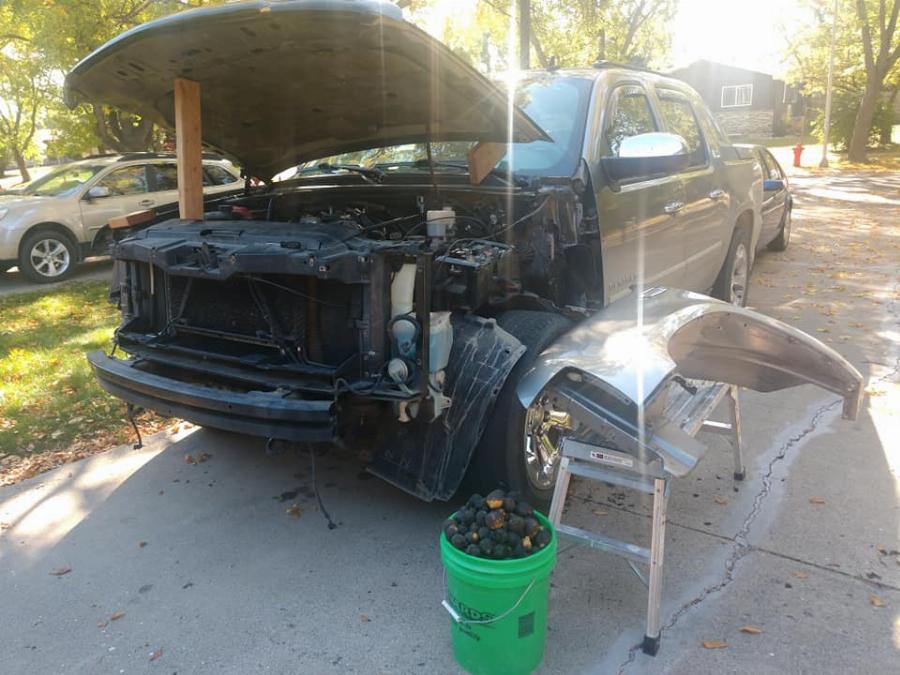 Σε κάθε πιθανό και απίθανο σημείο: Σκίουρος αποθήκευσε σε αγροτικό 160 κιλά καρύδια σε τέσσερις μέρες