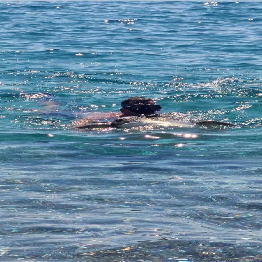 Διάσωση χελώνας στη Ρόδο: Δύτης έσωσε εγκλωβισμένη χελώνα κάνοντας της τεχνητή αναπνοή