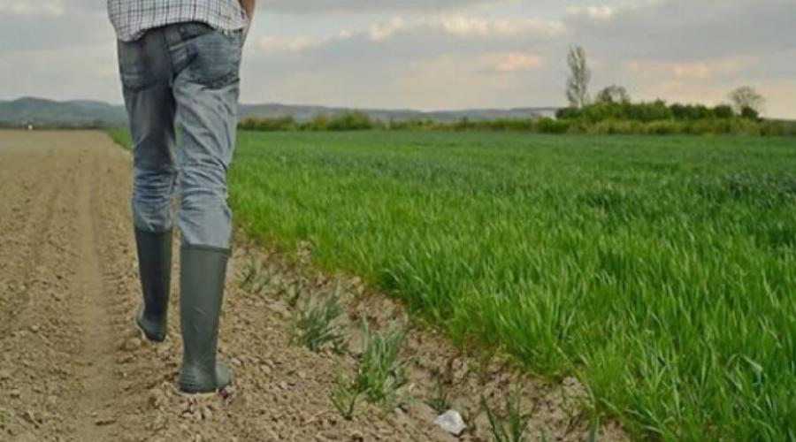 Ξέμεινε από εργατικά χέρια η καλλιέργεια της γης στην Ελλάδα