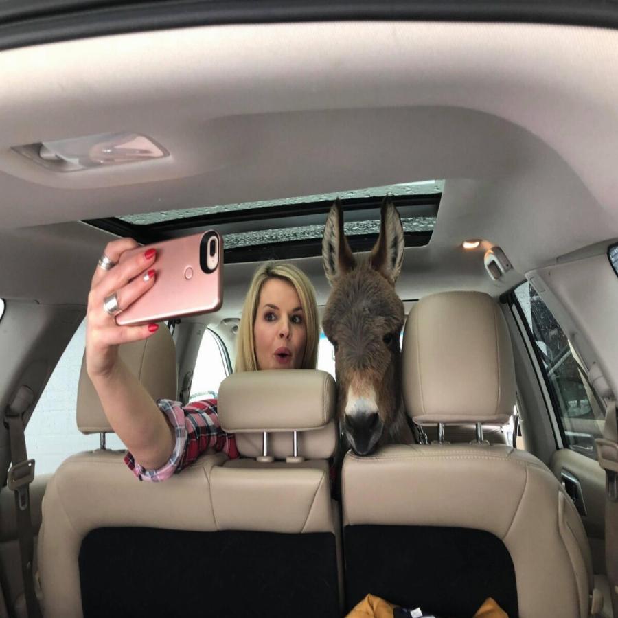 Γαϊδουράκι σαν κατοικίδιο: Ζει κανονικά σε σπίτι  όπως ένας σκύλος