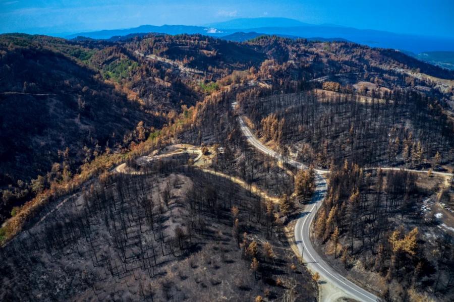 Στάχτη τουλάχιστον 15.000 στρέμματα στη Δαδιά: Σπαρακτικές εικόνες από τον Έβρο