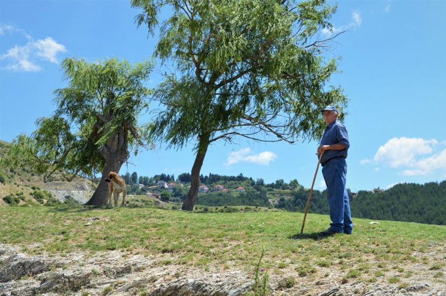 Ξετρέλανε τους κτηνοτρόφους: Τουρίστρια έκανε pole dancing σε κολόνα του δρόμου