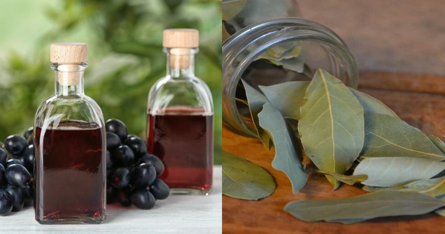 Σωτήριο κόλπο: Αυτό είναι το φυσικό και οικολογικό “απολυμαντικό” που θα απαλλάξει το σπίτι από τη παρουσιά τους – Λίγες σταγόνες αρκούν