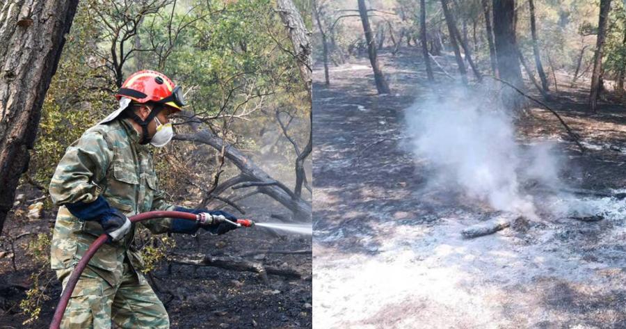 Φωτιά στον Έβρο: Δώρο εξ ουρανού στο Δάσος της Δαδιάς – Άρχισε να βρέχει στη περιοχή