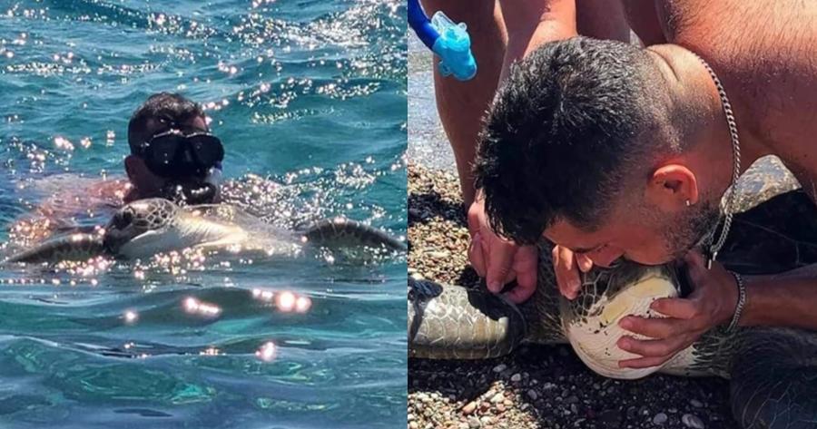 Διάσωση χελώνας στη Ρόδο: Δύτης έσωσε εγκλωβισμένη χελώνα κάνοντας της τεχνητή αναπνοή