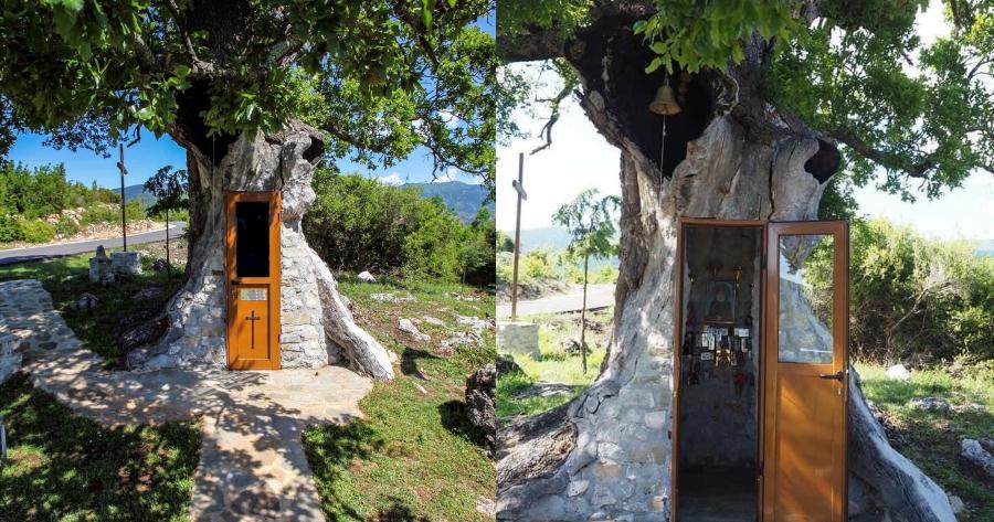 Η κρυμμένη Δεντροκκλησιά του Αγίου Παϊσίου: Το εντυπωσιακό εκκλησάκι μέσα σε δέντρο στο χωριό Αγία Βαρβάρα της Κόνιτσας