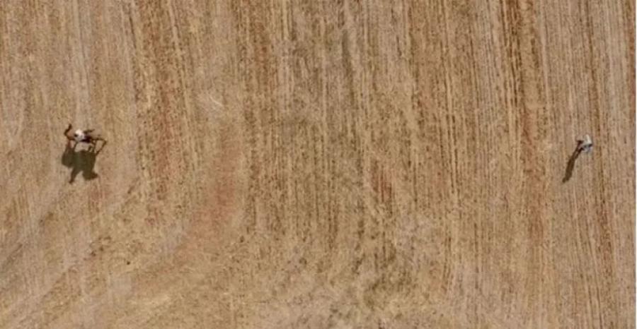 Συγκλονιστικό φινάλε στις Άγριες Μέλισσες: Ο Μελέτης σκοτώνει τον Ακύλα με δρεπάνι και το Twitter έστησε πάρτυ