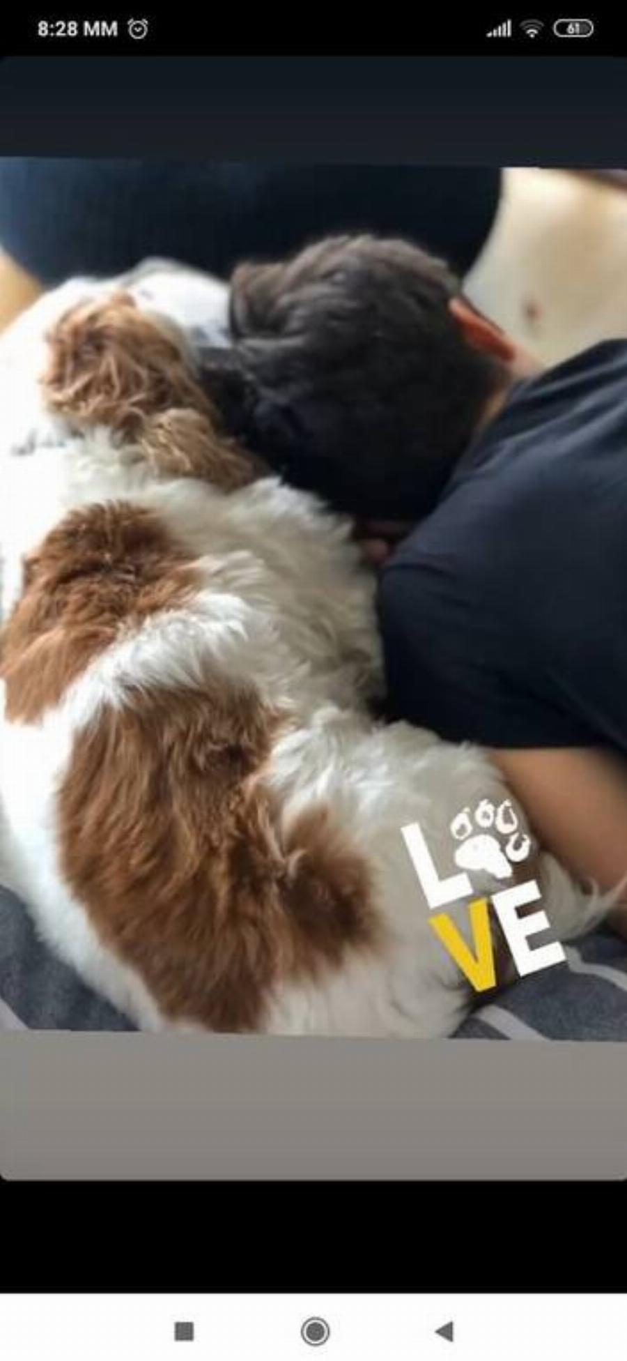 Έλλη Κοκκίνου: Ο γιος της, Αλέξανδρος Βασιλειάδης, και οι σπάνιες φωτογραφίες