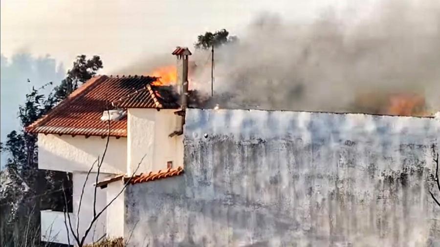 Πυρκαγιά Ανθούσα: Αuτός είναι ο καπετάνιος που αυτοκτόνησε βλέποντας για τρίτη φορά να καίγεται το σπίτι του