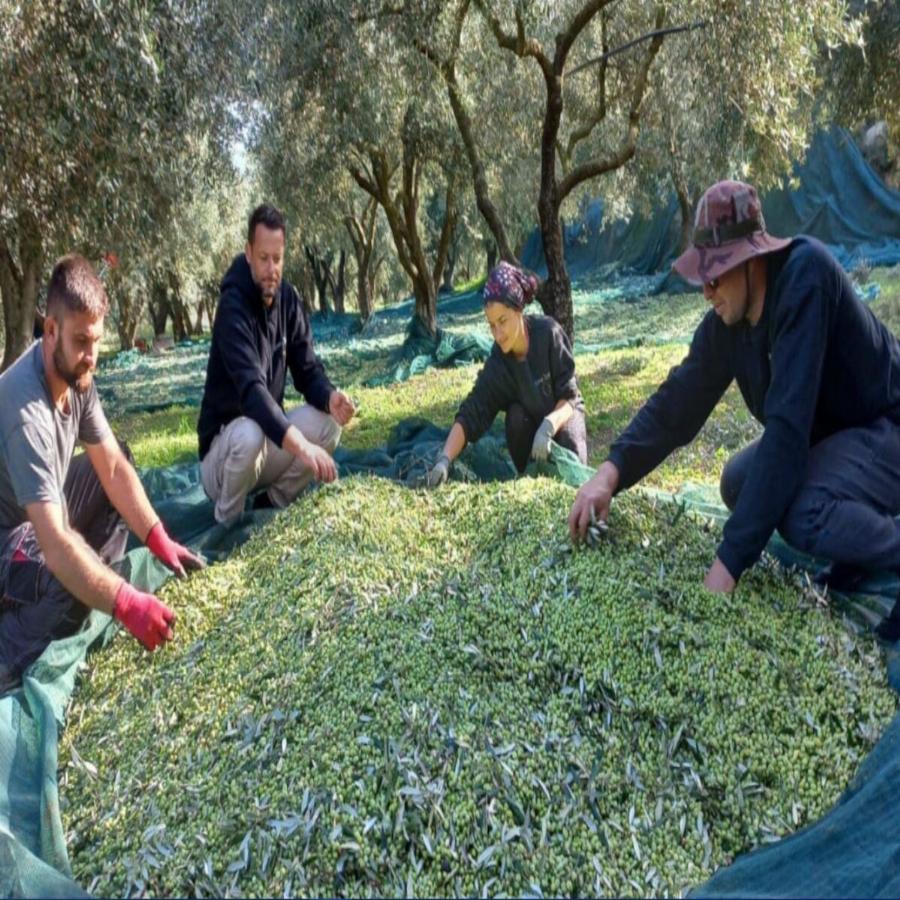 Αλέξανδρος Τζόρβας: Ο τερματοφύλακας που άλλαξε την ζωή του και έγινε αγρότης
