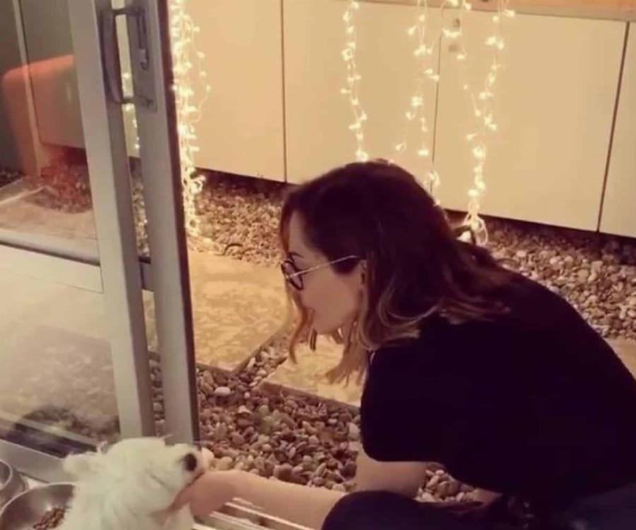 Θα το ζήλευαν και οι πιο έμπειροι διακοσμητές: Το σπίτι της Δέσποινας Βανδή, η μοντέρνα μαύρη κουζίνα και τα έντονα στοιχεία ξύλου