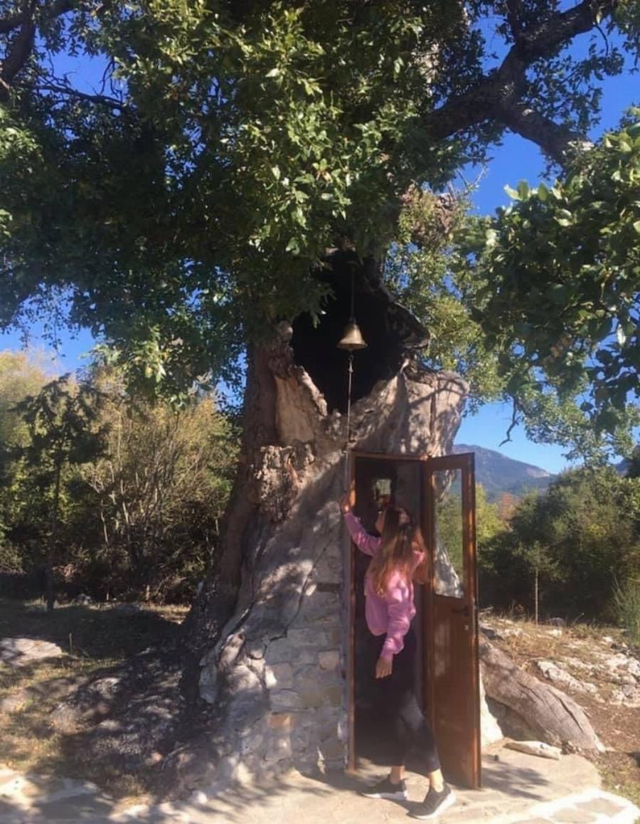 Η κρυμμένη Δεντροκκλησιά του Αγίου Παϊσίου: Το εντυπωσιακό εκκλησάκι μέσα σε δέντρο στο χωριό Αγία Βαρβάρα της Κόνιτσας