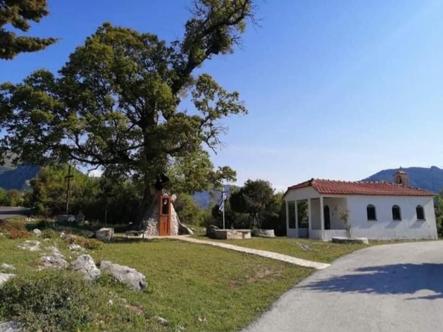 Η κρυμμένη Δεντροκκλησιά του Αγίου Παϊσίου: Το εντυπωσιακό εκκλησάκι μέσα σε δέντρο στο χωριό Αγία Βαρβάρα της Κόνιτσας