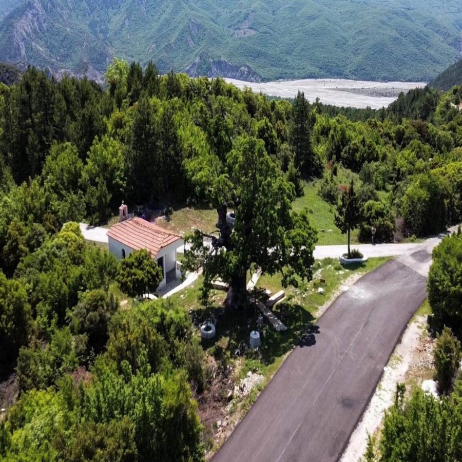 Η κρυμμένη Δεντροκκλησιά του Αγίου Παϊσίου: Το εντυπωσιακό εκκλησάκι μέσα σε δέντρο στο χωριό Αγία Βαρβάρα της Κόνιτσας