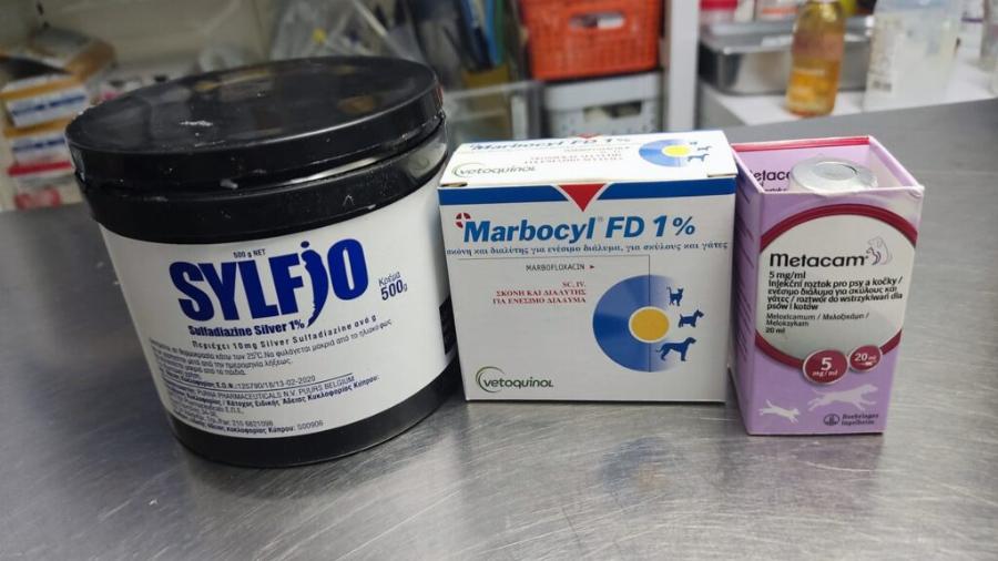 Πράξεις αγάπης: Εθελοντές περιθάλπουν και διασώζουν ζώα στο δάσος της Δαδιάς που καίγεται