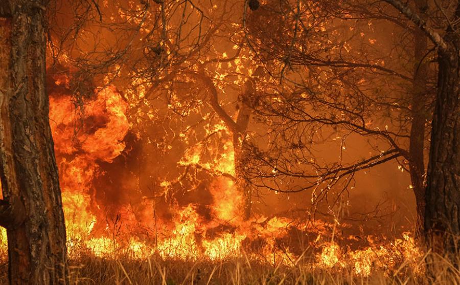 Φωτιά στα Μέγαρα: Οι πυροσβέστες άφησαν σημείωμα σε σπίτι που έσωσαν