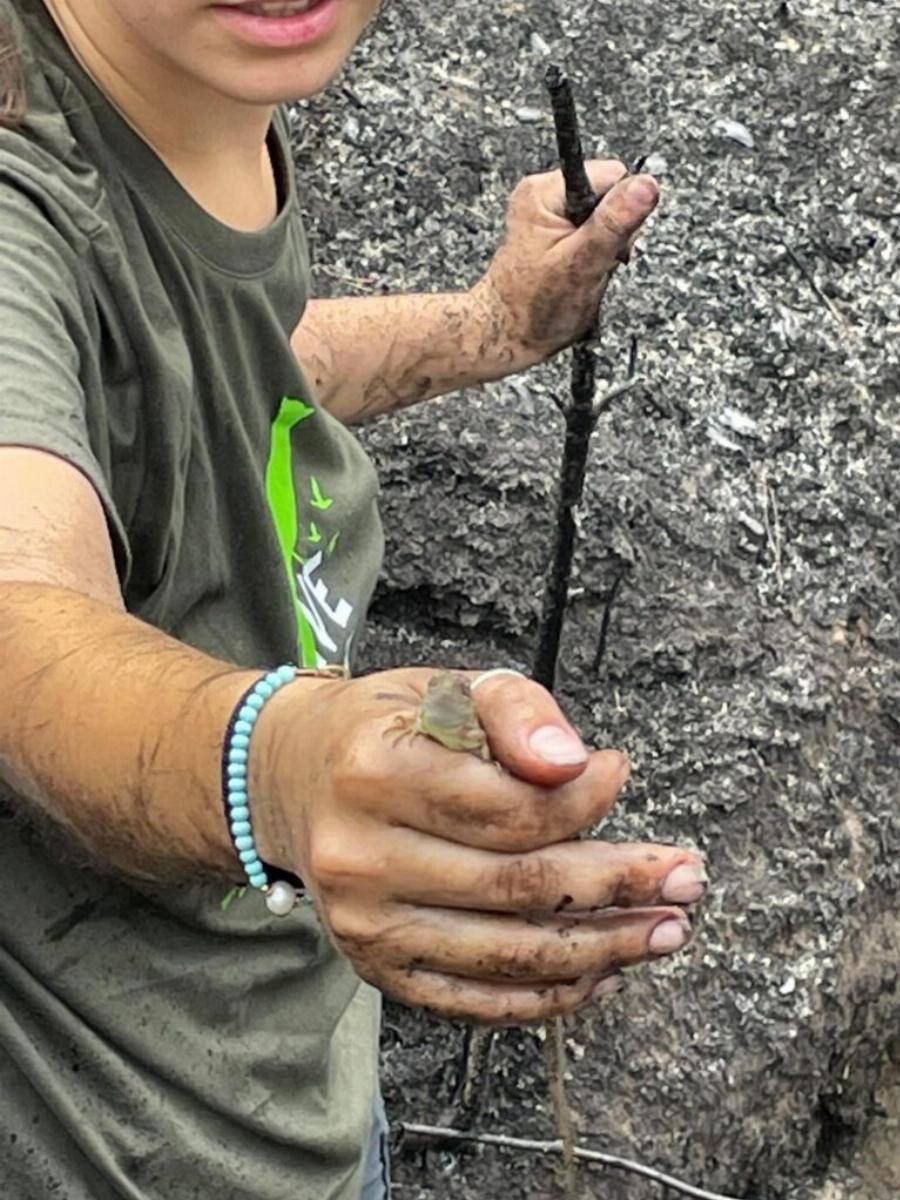 Πράξεις αγάπης: Εθελοντές περιθάλπουν και διασώζουν ζώα στο δάσος της Δαδιάς που καίγεται