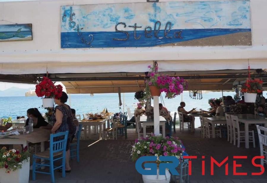 Πέρασε το κακό όνειρο: Η γάτα που κλώτσησε ο 30χρονος στη θάλασσα της Αιδηψού έκανε γατάκια