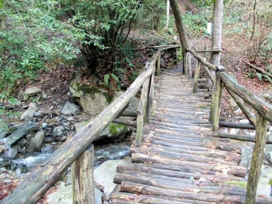 Άγιος Παΐσιος: Στο εσωτερικό του κελιού του στο Άγιο Όρος