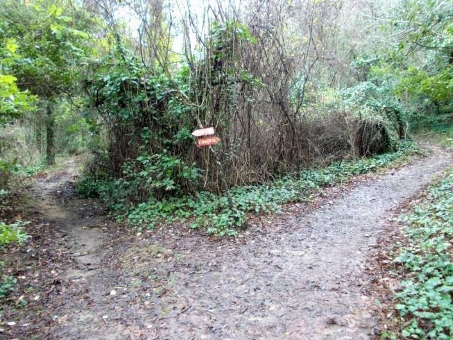 Άγιος Παΐσιος: Στο εσωτερικό του κελιού του στο Άγιο Όρος