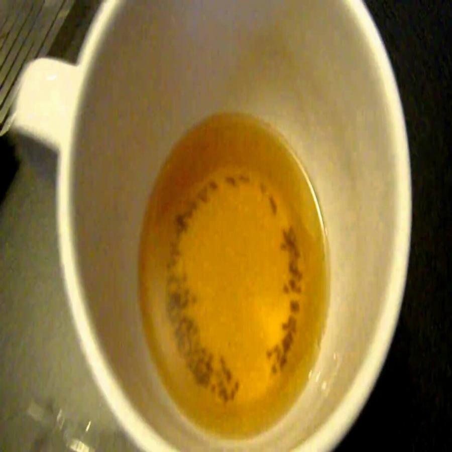 Δώστε τέλος στα μυγάκια και τις σκνίπες: Πέντε φυσικοί, απλοί και οικονομικοί τρόποι για να απαλλαγείτε μία και καλή