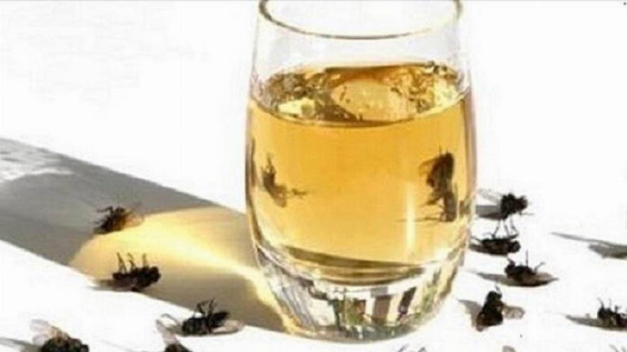 Απολαύστε το καλοκαίρι μακριά από μύγες, κουνούπια και κατσαρίδες: Με αυτή τη σπιτική συνταγή θα μείνουν μακριά από το σπίτι σας