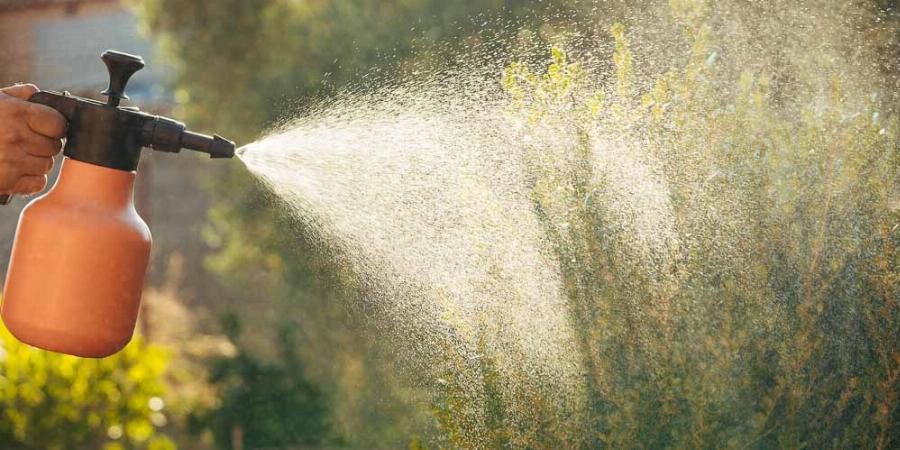 Παίρνει και ρίχνει μια κουταλιά κανέλα στις γλάστρες και το αποτέλεσμα θα σας αφήσει με το στόμα ανοιχτό