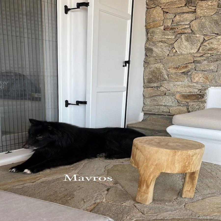 Στιγμές χαλάρωσης στο νησί των ανέμων: Διακοπές για γερά πορτοφόλια στη Μύκονο για την Αθηνά Οικονομάκου με τα παιδιά και τη μητέρα της