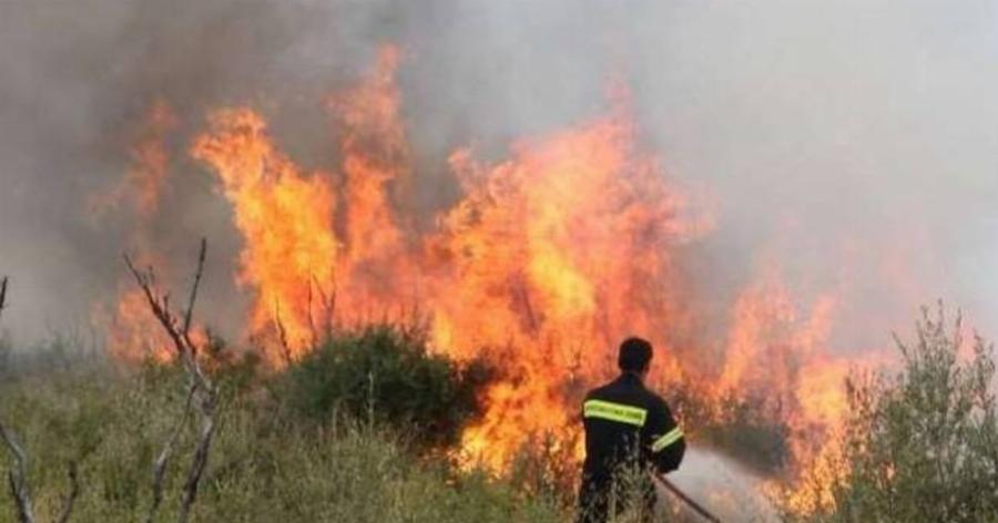 Πυρκαγιά στο Σχηματάρι: Ρουμάνος πυροσβέστης σώζει μικρό πρόβατο από βέβαιο θάνατο