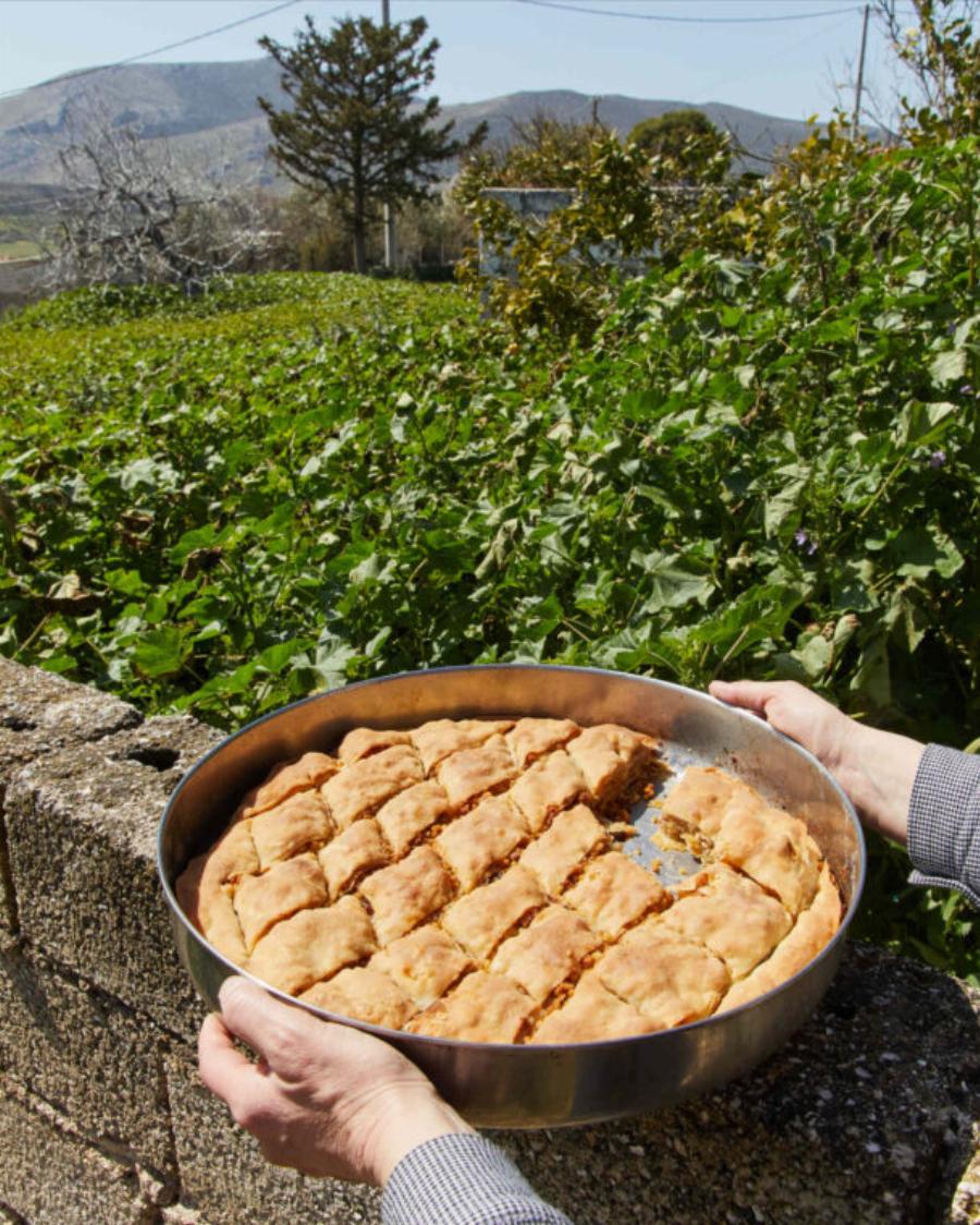 Η αγαπημένη τυρόπιτα των κτηνοτρόφων: Η εύκολη συνταγή για βλαχόπιτα με τραχανά που θα σας θυμίσει το χωριό