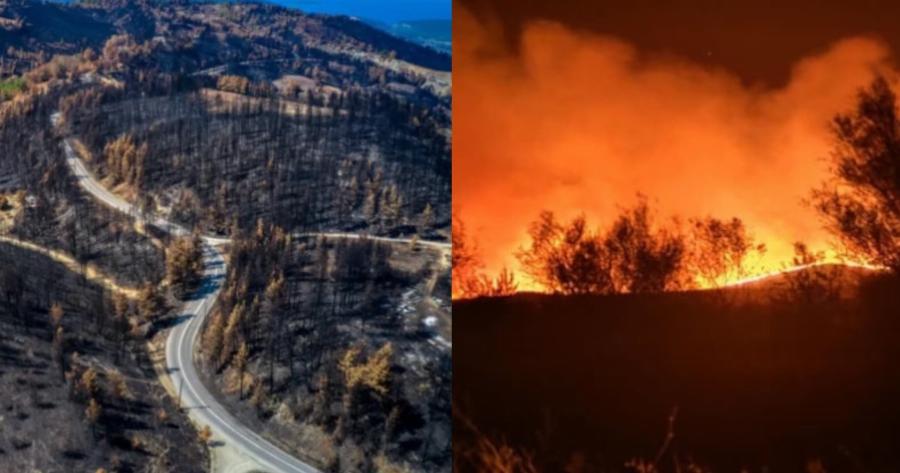 Στάχτη τουλάχιστον 15.000 στρέμματα στη Δαδιά: Σπαρακτικές εικόνες από τον Έβρο