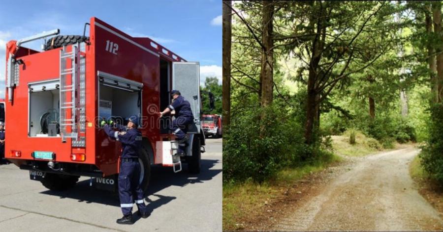 Τι κάνει τα ατέλειωτα βουνά της Βουλγαρίας να μην καίγονται όπως της Ελλάδας