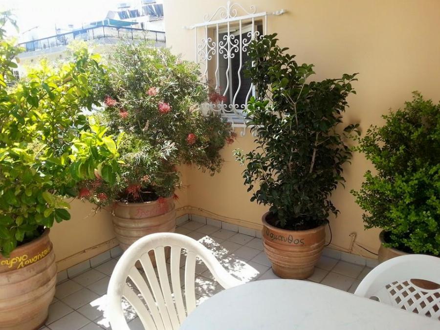 Το μυστικό των κηπουρών: Το απόλυτο κόλπο που θα κάνει τα φυτά σας να ζωντανέψουν ξανά